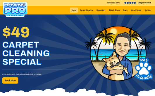 Carpet Cleaning Website Design